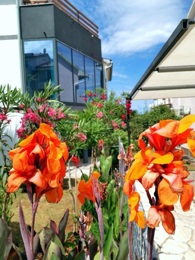 Apartmani Andrea Pula Ngoại thất bức ảnh