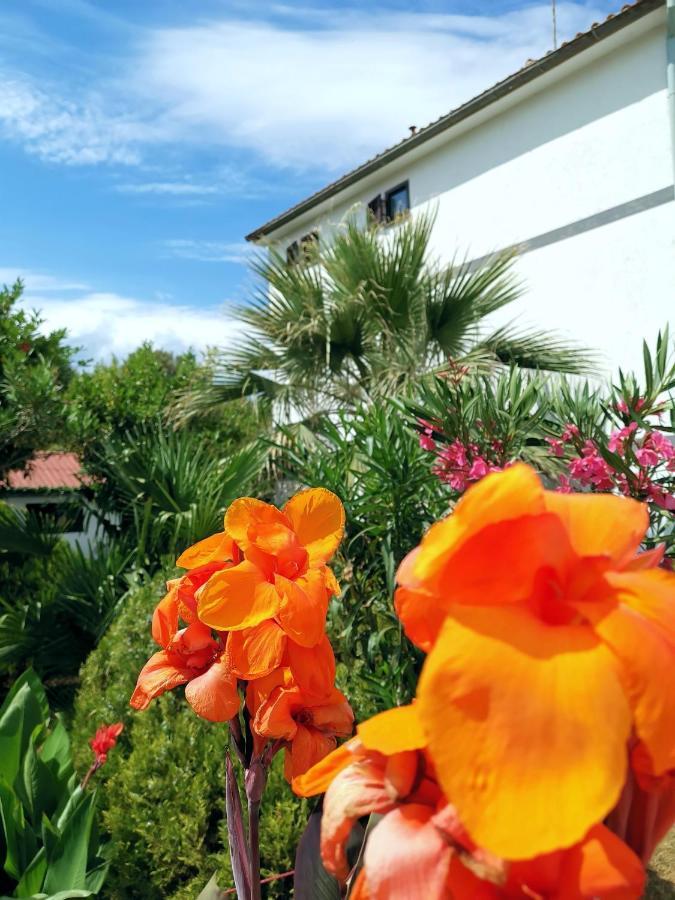 Apartmani Andrea Pula Ngoại thất bức ảnh